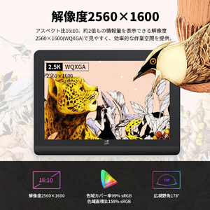 XP-PEN 液晶ペンタブレット Artist Pro 16(Gen2)替え芯セット付属 ブラック ARTPP160QHJP-イメージ12