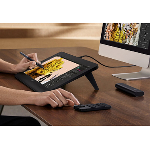 XP-PEN 液晶ペンタブレット Artist Pro 16(Gen2)替え芯セット付属 ブラック ARTPP160QHJP-イメージ20