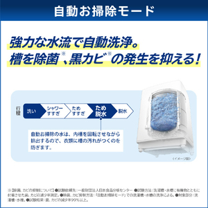 東芝 10．0kgインバーター全自動洗濯機 e angle select グランホワイト AW-10DPE4(W)-イメージ13