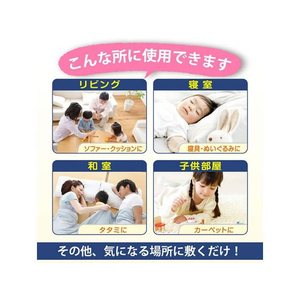 ＵＹＥＫＩ ダニクリン 消臭・除菌タイプ 250mL FC195PZ-イメージ4