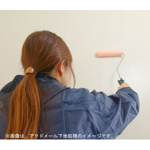フジワラ化学 MURA PAINT アッシュグレー FCE958Z-イメージ5
