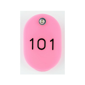 西敬 親子札 101～150 ピンク FC36157-BO-101P-イメージ4
