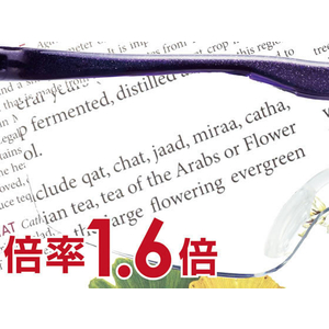 Ｈａｚｕｋｉ ハズキルーペ コンパクト カラーレンズ 1.6倍 ブラッググレー F039378-イメージ2