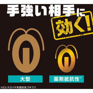 アース製薬 ブラックキャップ フィットタイプ 16個入 FCG206X-イメージ5