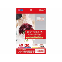 ナカバヤシ つやのある超厚手 印画紙 A5 20枚 F374005-JPSK2-A5-20