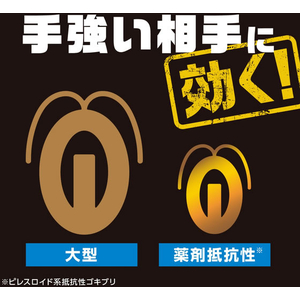 アース製薬 ブラックキャップ フィットタイプ 32個入 FCG207X-イメージ5