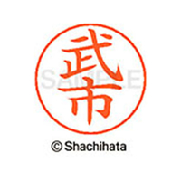 シヤチハタ ネームペン用ネーム シルバー 既製 武市 FC47177-X-GPS-1406