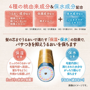 ダリヤ モモリ 濡れツヤスタイル グロスジェリー 120g FCJ378F-イメージ4