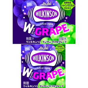 アサヒ飲料 ウィルキンソン タンサン ダブルグレープ 500mL 24本 FC688SJ-イメージ2