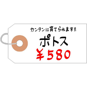 タカ印 耐水紙荷札 豆 2000枚 FCE097Z-25-1310-イメージ4