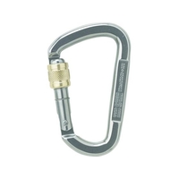 ＡＵＳＴＲＩＡＬＰＩＮ ALPIN/D ASYMMステンレス スクリューロック 線径14.0 シルバー FC535FD-7672144