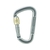 ＡＵＳＴＲＩＡＬＰＩＮ ALPIN/D ASYMMステンレス スクリューロック 線径14.0 シルバー FC535FD-7672144-イメージ1