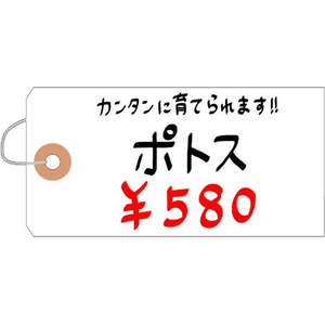 タカ印 耐水紙荷札 中 1000枚 FCE098Z-25-1320-イメージ4