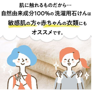 太陽油脂 パックス 洗濯用石けんWパワー FCD291H-イメージ2