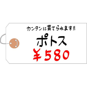 タカ印 耐水紙荷札 大 1000枚 FCE099Z-25-1330-イメージ4