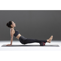 エディオンネットショップ スライヴ Fd0re リリースローラー レッド