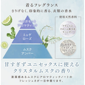 ＮＳファーファジャパン ファーファ FINE FRAGRANCE オム 詰替 2000mL×6個 FCJ380F-イメージ3