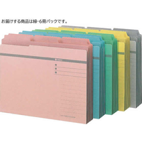 ライオン事務器 3カットフォルダー A4 緑 6冊/No.43-6P/132-57 FCD654L-No.43-6P