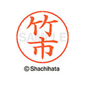 シヤチハタ ネームペン用ネーム シルバー 既製 竹市 FC47182-X-GPS-1411