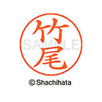 シヤチハタ ネームペン用ネーム シルバー 既製 竹尾 FC47184-X-GPS-1413