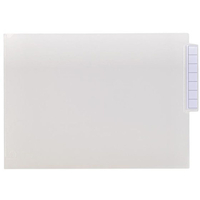 リヒトラブ カルテフォルダーシングルポケットA4 200枚 乳白 F034667-HK7708-ﾐ