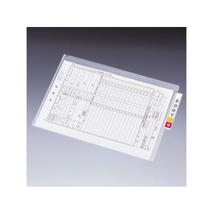 リヒトラブ カルテフォルダーシングルポケットA4 200枚 乳白 F034667-HK7708-ﾐ-イメージ3