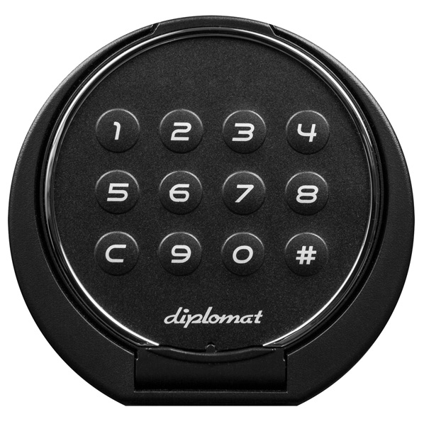 ディプロマット プレミアム金庫 プレミアムセーフ WISE ダークグレイ WS500ALDG 0cm