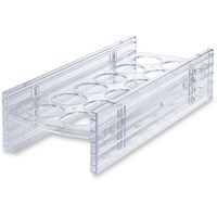 伊勢藤 エッグラック FC494NM-I-619