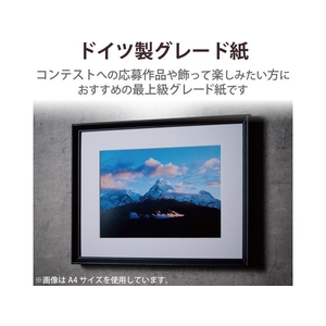 エレコム 写真用紙 印画紙Pro A4 50枚 FC280PX-EJK-PROA450-イメージ5