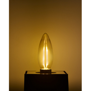 エルパ LED電球 E17口金 全光束300lm(2．1W普通電球サイズ)電球色相当 LDC2CL-G-E17/D-F338-イメージ4
