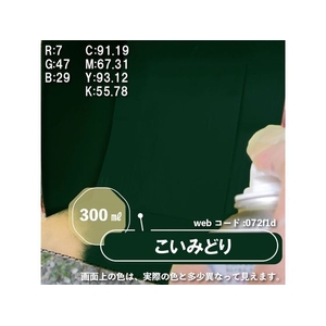 カンペハピオ カンペラッカースプレーA こいみどり 300ml FCB055N-イメージ3