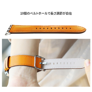EGARDEN Apple Watch 49/46/45/44/42mm用バンド ブラウン EG24859AWBR-イメージ10