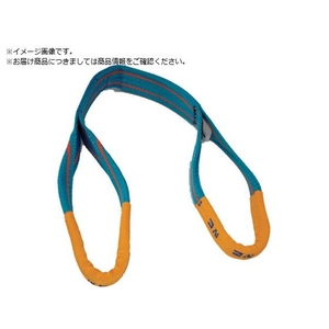 TESAC/ブルースリング JIS4等級・両端アイ形 荷重2.0t FC635VY-2560550-イメージ1