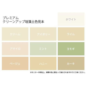 フジワラ化学 プレミアム珪藻土壁材 5坪 ミント FCE966Z-イメージ4