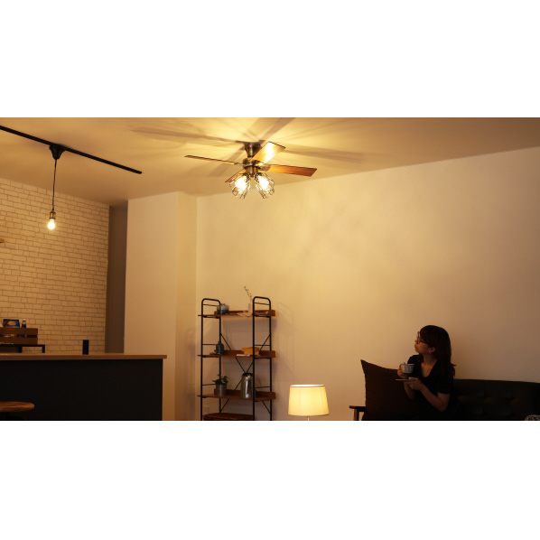 阪和 LEDシーリングファン JAVALO ELF ゴールド JE-CF003-GD 電球型蛍光灯