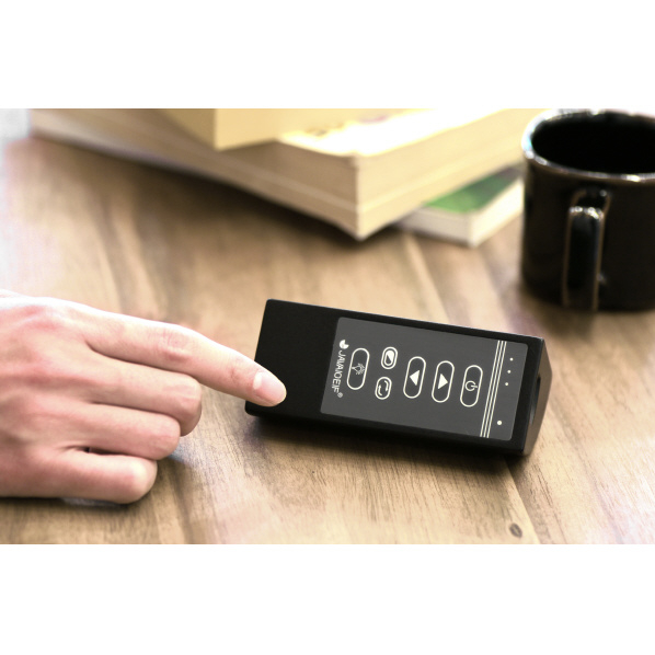 阪和 LEDシーリングファン JAVALO ELF ゴールド JE-CF003-GD 電球型蛍光灯