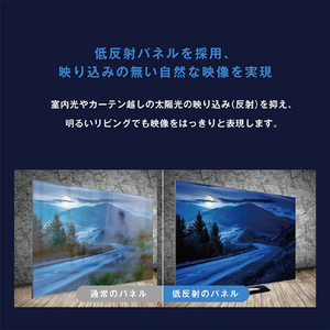 オリオン ORION 100型チューナーレステレビ GLMK100U-イメージ6