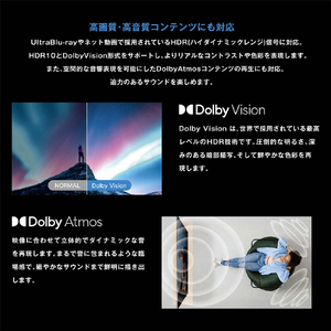 オリオン ORION 100型チューナーレステレビ GLMK100U-イメージ8