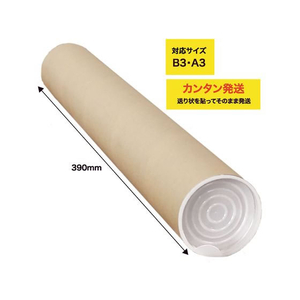 今村紙工 ポリ栓付き紙管 長さ390mm 10本 FC053RB-SK1-3-イメージ2