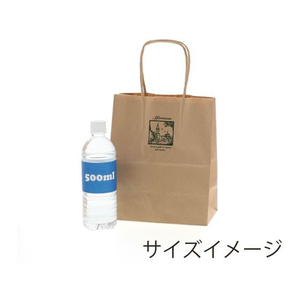 シモジマ 紙袋 25チャームバッグ 21-12 アフタヌーン 50枚 FCN4288-003266744-イメージ5
