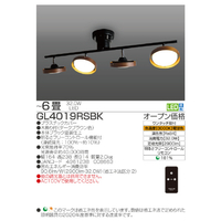 未使用／タキズミ ロッドスポット 電球色 ブラック DN4021RSBK