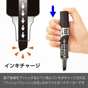 ぺんてる ホワイトボードマーカー ノックル 太字 平芯 黒 10本 FCF481N-EMWL6W-A10-イメージ3