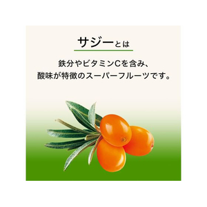 伊藤園 アップル・マンゴー サジーmix 紙パック 200mL FC711TE-イメージ3