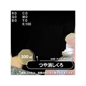 カンペハピオ カンペラッカースプレーA つや消しくろ 300ml FCB060N-イメージ3