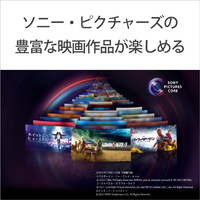 SONY KJ-43X75WL 43V型4Kチューナー内蔵4K対応液晶テレビ BRAVIA X75WL