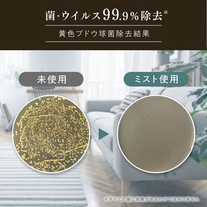 ＮＳファーファジャパン ファーファ FINE FRAGRANCE ファブリックミスト 替 540mL FCJ387F-イメージ5