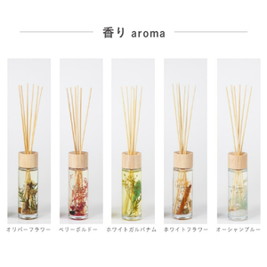 藤栄 B-nature 120リードディフューザー ホワイトガルバナム 120ml BN004BNATURE120Wｶﾞﾙﾊﾞﾅﾑ-イメージ6