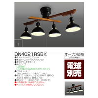 未使用／タキズミ ロッドスポット 電球色 ブラック　DN4021RSBK タキズミ DN4021RSBK LEDロッドスポット(電球別売) ブラック