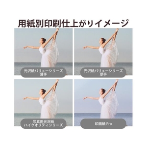 エレコム 写真用光沢紙 厚手 ハガキ/50 FC295PX-EJK-VLH50-イメージ5