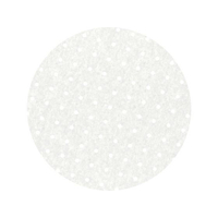 精巧社 リンベシート丸型 メッシュペーパー 500枚入 RSM-300 FC586LM-4675040